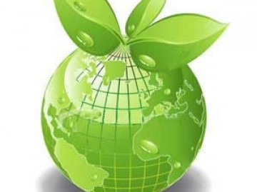 Business - Werte